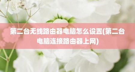 第二台无线路由器电脑怎么设置(第二台电脑连接路由器上网)