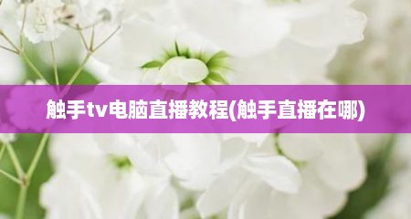 触手tv电脑直播教程(触手直播在哪)