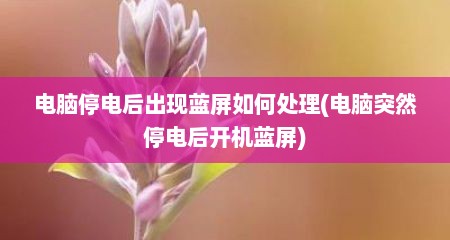 电脑停电后出现蓝屏如何处理(电脑突然停电后开机蓝屏)