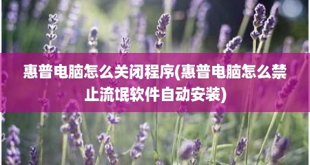 惠普电脑怎么关闭程序(惠普电脑怎么禁止流氓软件自动安装)