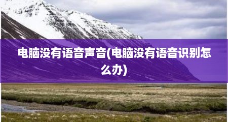 电脑没有语音声音(电脑没有语音识别怎么办)