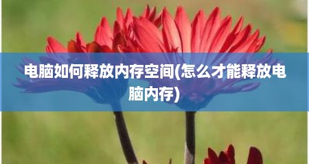 电脑如何释放内存空间(怎么才能释放电脑内存)