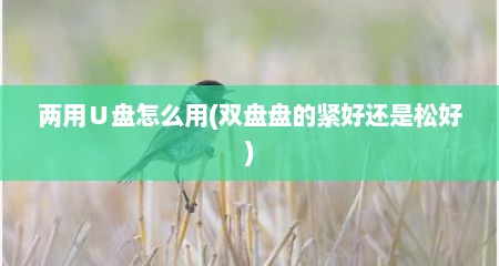 两用∪盘怎么用(双盘盘的紧好还是松好)