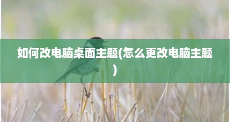 如何改电脑桌面主题(怎么更改电脑主题)
