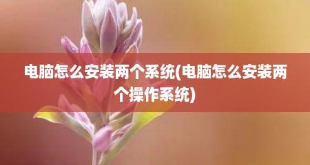 电脑怎么安装两个系统(电脑怎么安装两个操作系统)