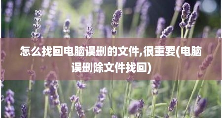 怎么找回电脑误删的文件,很重要(电脑误删除文件找回)