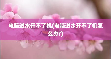 电脑进水开不了机(电脑进水开不了机怎么办?)