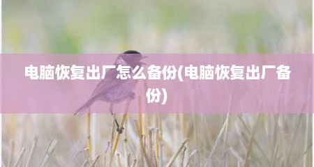 电脑恢复出厂怎么备份(电脑恢复出厂备份)