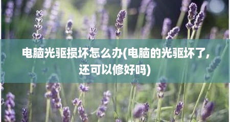 电脑光驱损坏怎么办(电脑的光驱坏了,还可以修好吗)