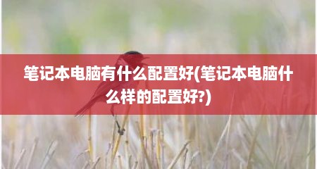 笔记本电脑有什么配置好(笔记本电脑什么样的配置好?)