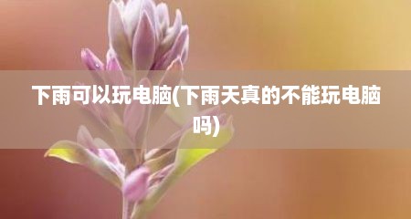下雨可以玩电脑(下雨天真的不能玩电脑吗)
