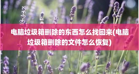 电脑垃圾箱删除的东西怎么找回来(电脑垃圾箱删除的文件怎么恢复)