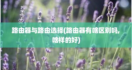 路由器与路由选择(路由器有啥区别吗,啥样的好)