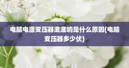 电脑电源变压器滋滋响是什么原因(电脑变压器多少伏)