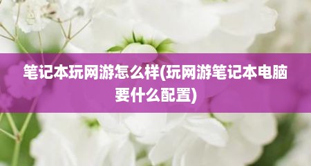 笔记本玩网游怎么样(玩网游笔记本电脑要什么配置)