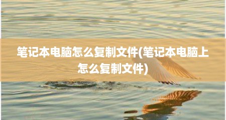 笔记本电脑怎么复制文件(笔记本电脑上怎么复制文件)