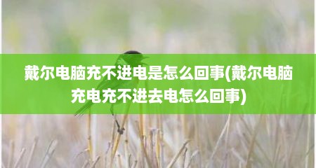 戴尔电脑充不进电是怎么回事(戴尔电脑充电充不进去电怎么回事)