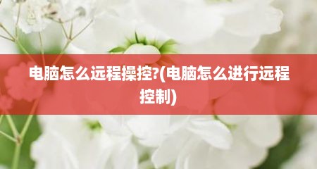 电脑怎么远程操控?(电脑怎么进行远程控制)
