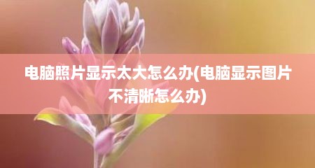 电脑照片显示太大怎么办(电脑显示图片不清晰怎么办)