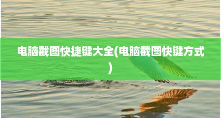 电脑截图快捷键大全(电脑截图快键方式)