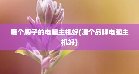 哪个牌子的电脑主机好(哪个品牌电脑主机好)