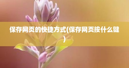 保存网页的快捷方式(保存网页按什么键)