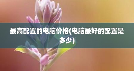 最高配置的电脑价格(电脑最好的配置是多少)