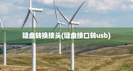 键盘转换接头(键盘接口转usb)