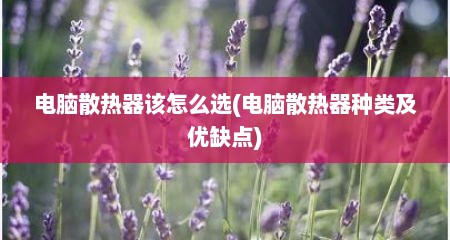 电脑散热器该怎么选(电脑散热器种类及优缺点)