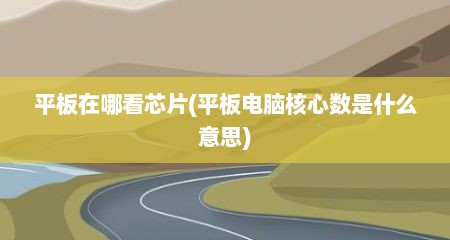 平板在哪看芯片(平板电脑核心数是什么意思)