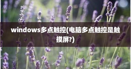 windows多点触控(电脑多点触控是触摸屏?)