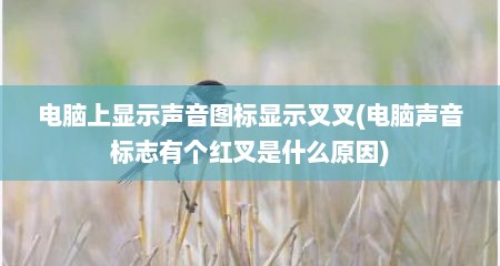 电脑上显示声音图标显示叉叉(电脑声音标志有个红叉是什么原因)