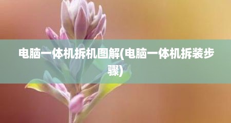 电脑一体机拆机图解(电脑一体机拆装步骤)