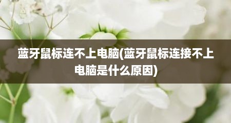 蓝牙鼠标连不上电脑(蓝牙鼠标连接不上电脑是什么原因)