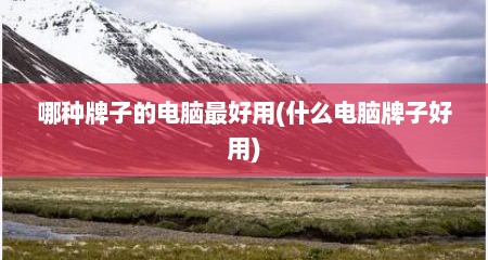 哪种牌子的电脑最好用(什么电脑牌子好用)