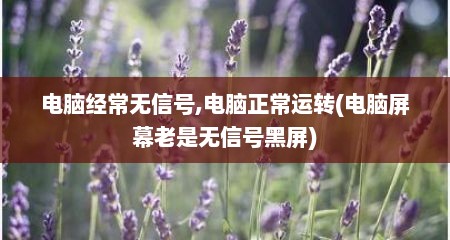 电脑经常无信号,电脑正常运转(电脑屏幕老是无信号黑屏)