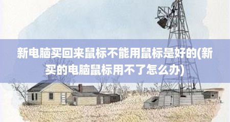 新电脑买回来鼠标不能用鼠标是好的(新买的电脑鼠标用不了怎么办)