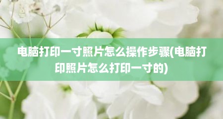 电脑打印一寸照片怎么操作步骤(电脑打印照片怎么打印一寸的)