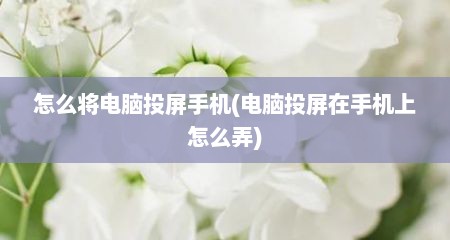 怎么将电脑投屏手机(电脑投屏在手机上怎么弄)