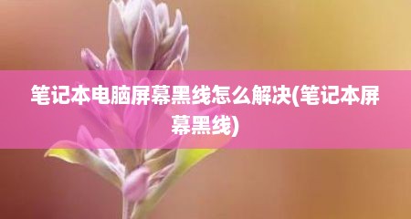 笔记本电脑屏幕黑线怎么解决(笔记本屏幕黑线)