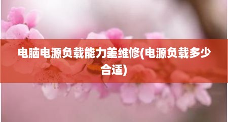 电脑电源负载能力差维修(电源负载多少合适)