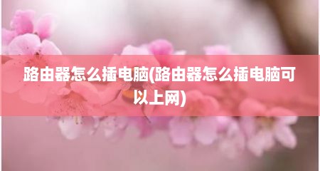 路由器怎么插电脑(路由器怎么插电脑可以上网)