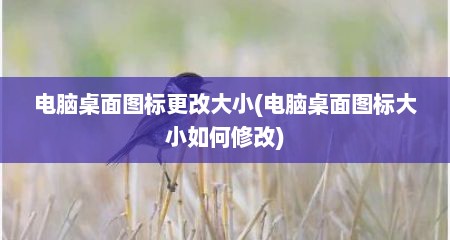 电脑桌面图标更改大小(电脑桌面图标大小如何修改)