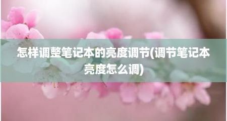 怎样调整笔记本的亮度调节(调节笔记本亮度怎么调)