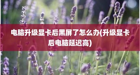 电脑升级显卡后黑屏了怎么办(升级显卡后电脑延迟高)