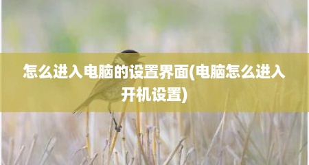 怎么进入电脑的设置界面(电脑怎么进入开机设置)