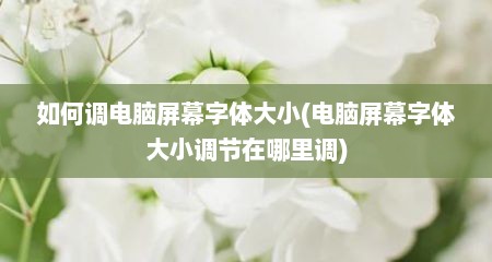 如何调电脑屏幕字体大小(电脑屏幕字体大小调节在哪里调)
