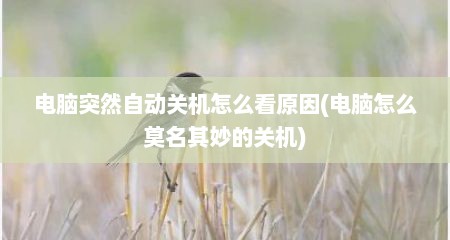 电脑突然自动关机怎么看原因(电脑怎么莫名其妙的关机)