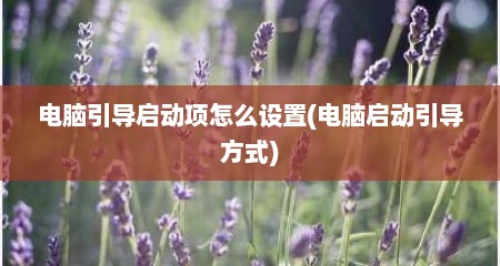 电脑引导启动项怎么设置(电脑启动引导方式)