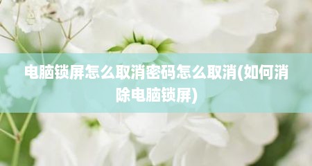 电脑锁屏怎么取消密码怎么取消(如何消除电脑锁屏)